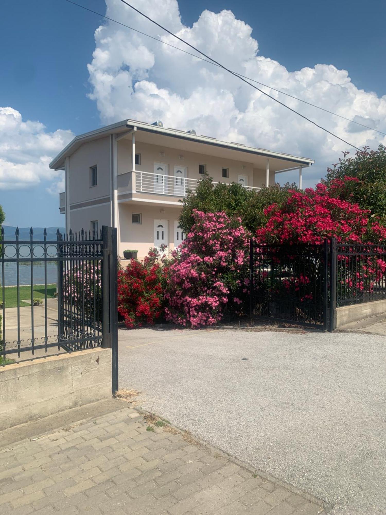 Sunrise Apartments And Studios Dojran Exteriör bild